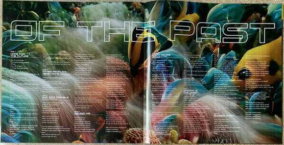 LP deska Bastille - Give Me The Future + Dreams Of The Past (2 LP) - 14