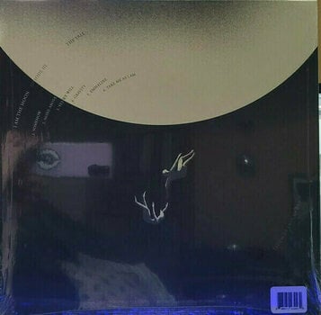 Disc de vinil Tedeschi Trucks Band - I Am The Moon: III. The Fall (LP) - 5