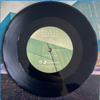 Vinyl Record Manic Street Preachers - The Ultra Vivid Lament (2 LP) - 5