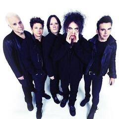 Schallplatte The Cure - Wish (30th Anniversary Edition) (2 LP) - 2