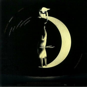 LP platňa Tedeschi Trucks Band - I Am The Moon: I. Crescent (LP) - 3