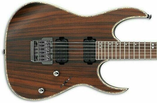 Guitare électrique Ibanez RG721RW Premium Charcoal Brown Flat - 2