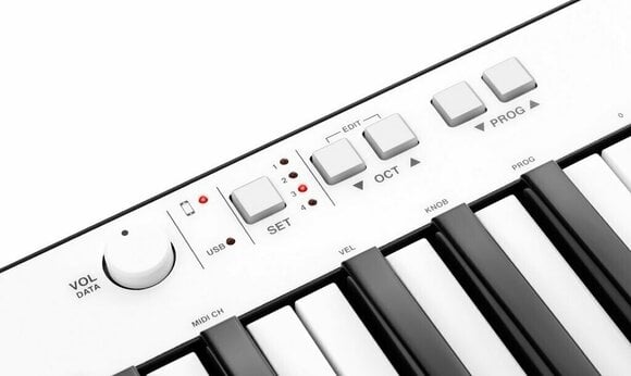 MIDI keyboard IK Multimedia iRIG Keys Pro - 2