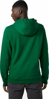 Felpa outdoor Helly Hansen Men's F2F Organic Cotton Malachite 2XL Felpa outdoor - 4