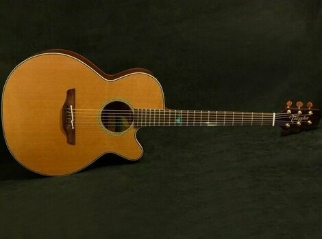 electro-acoustic guitar Takamine TSF40C - 3