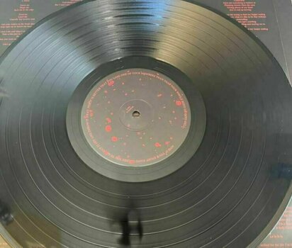 Disque vinyle Demi Lovato - HOLY FVCK (LP) - 2