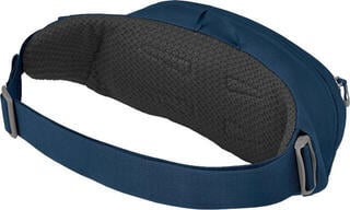Wallet, Crossbody Bag Osprey Daylite Waist Pack Waist Bag Wave Blue - 1