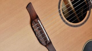 Elektro klasična gitara Takamine P3FCN Elektro klasična gitara - 1