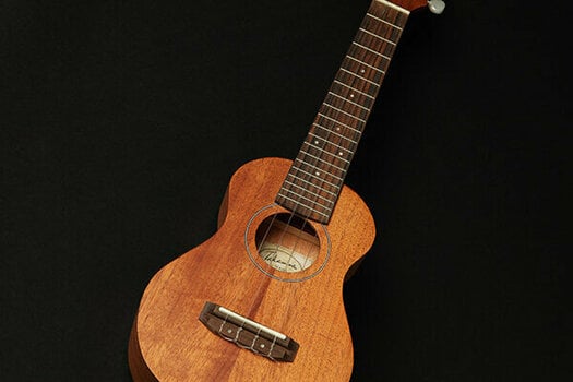 Koncertne ukulele Takamine EGU-C1 Koncertne ukulele Natural - 2