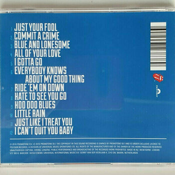 Glasbene CD The Rolling Stones - Blue & Lonesome (CD) - 3