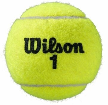 Tenisové loptičky Wilson Roland Garros All CT Tenisová loptička 3 - 4