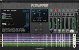 Doză chitară Fishman Tripleplay Wireless GC Doză chitară - 6