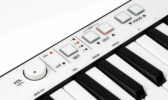 MIDI sintesajzer IK Multimedia iRig Keys - 2
