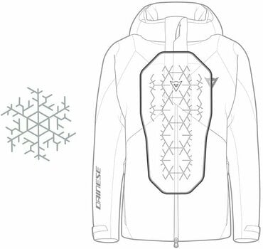 Casaco de esqui Dainese HP Diamond II S+ Black Concept M - 14