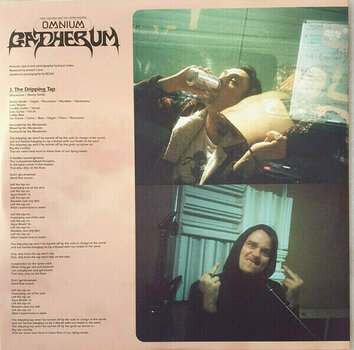 Disque vinyle King Gizzard - Omnium Gatherum (2 LP) - 6