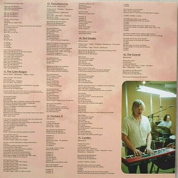 Vinylskiva King Gizzard - Omnium Gatherum (2 LP) - 9