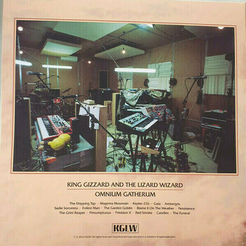 Грамофонна плоча King Gizzard - Omnium Gatherum (2 LP) - 11