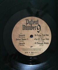 Hanglemez Ozzy Osbourne - Patient Number 9 (2 LP) - 2