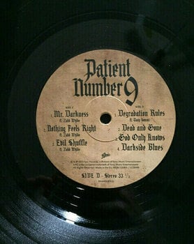 Vinyl Record Ozzy Osbourne - Patient Number 9 (2 LP) - 5
