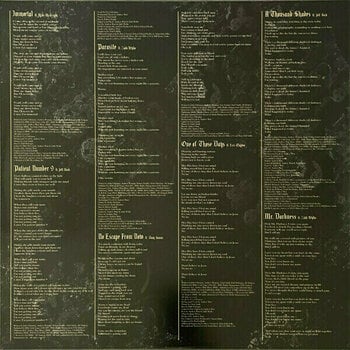 Vinyl Record Ozzy Osbourne - Patient Number 9 (2 LP) - 6