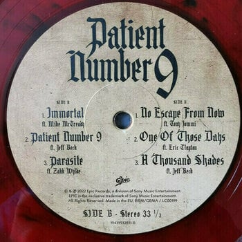 Vinyl Record Ozzy Osbourne - Patient Number 9 (Transparent Red & Black Marble Coloured) (2 LP) - 4