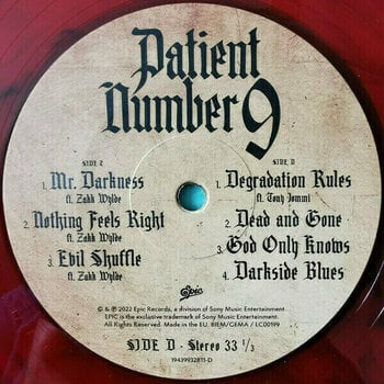 Vinyl Record Ozzy Osbourne - Patient Number 9 (Transparent Red & Black Marble Coloured) (2 LP) - 6