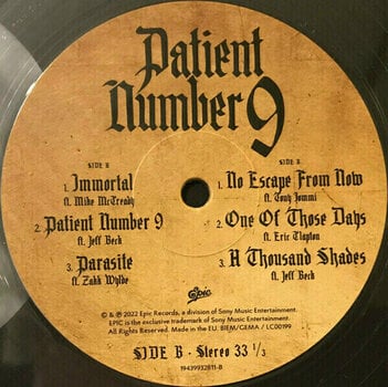 Vinylplade Ozzy Osbourne - Patient Number 9 (Crystal Clear Coloured) (2 LP) - 3