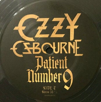 Vinyl Record Ozzy Osbourne - Patient Number 9 (Crystal Clear Coloured) (2 LP) - 4