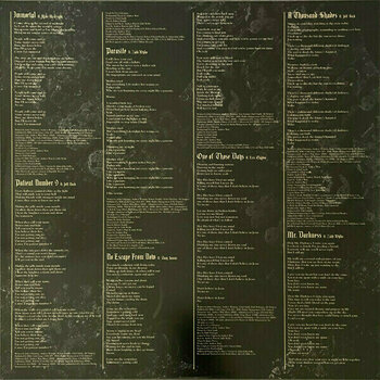 Disc de vinil Ozzy Osbourne - Patient Number 9 (Crystal Clear Coloured) (2 LP) - 6
