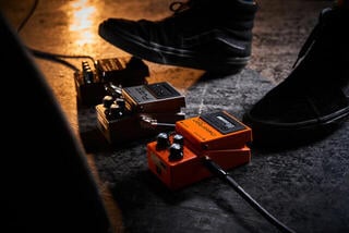 Effetti Chitarra Boss DS-1W Effetti Chitarra - 6