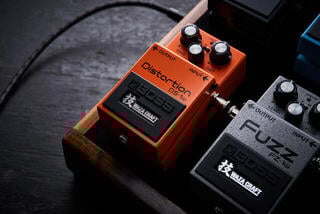 Effetti Chitarra Boss DS-1W Effetti Chitarra - 7