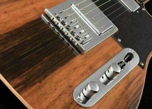 Električna kitara Michael Kelly 1955 Custom Collection Striped Ebony - 2
