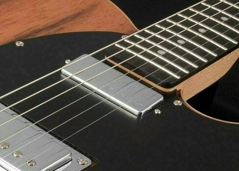 Električna kitara Michael Kelly 1955 Custom Collection Striped Ebony - 4