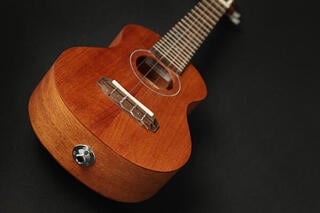 Konzert-Ukulele Takamine EGU-C1 Natural Konzert-Ukulele - 6