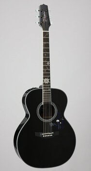 Takamine LTD2015 RENGE-SO
