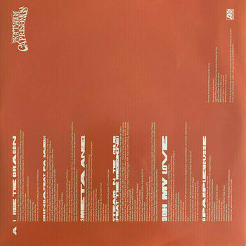 LP deska FKA Twigs - Caprisongs (Indies) (Colour Vinyl) (LP) - 3