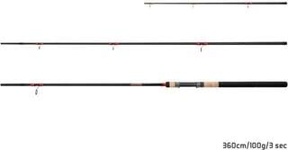 Feederrute Delphin LEEDER Feeder Angelrute 3,6 m 100 g 3 Teile - 1
