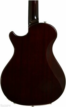 Elektrische gitaar PRS S2 Starla Dots Tobacco Sunburst - 6