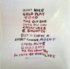 Disque vinyle Viagra Boys - Welfare Jazz (Deluxe) (LP + CD) - 2