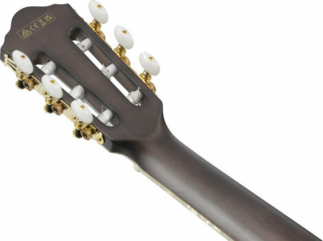 Special Acoustic-electric Guitar Ibanez TOD10N-TKF Tim Henson Tree of Death Signature Transparent Black - 11