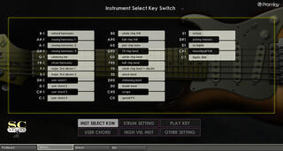 Tonstudio-Software VST-Instrument Prominy SC Electric Guitar 2 (Digitales Produkt) - 3