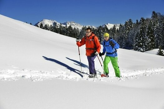 Raquetas de nieve TSL 305 Initial Chamois S Raquetas de nieve - 10