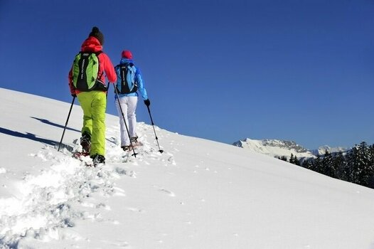 Raquetas de nieve TSL 305 Initial Chamois S Raquetas de nieve - 11