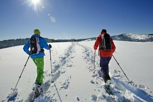 Sneeuwschoenen TSL 305 Initial Chamois S Sneeuwschoenen - 13