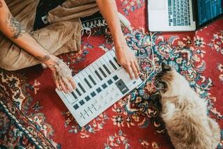 MIDI Πληκτρολόγιο Arturia MiniLab 3 MIDI Πληκτρολόγιο Λευκό - 7