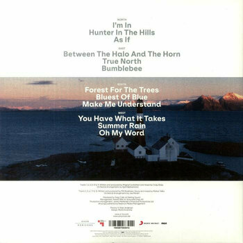 Vinylplade A-HA - True North (Limited Edition) (2 LP + CD + USB Card) - 2