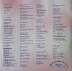 Disc de vinil Red Hot Chili Peppers - Return Of The Dream Canteen (Curacao Vinyl) (2 LP) - 7