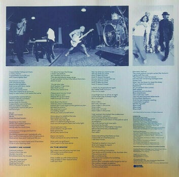 Грамофонна плоча Red Hot Chili Peppers - Return Of The Dream Canteen (Curacao Vinyl) (2 LP) - 11