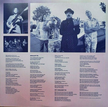 Schallplatte Red Hot Chili Peppers - Return Of The Dream Canteen (Pink Vinyl) (2 LP) - 9