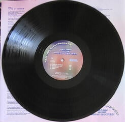 Disco de vinilo Red Hot Chili Peppers - Return Of The Dream Canteen (Poster) (2 LP) - 2